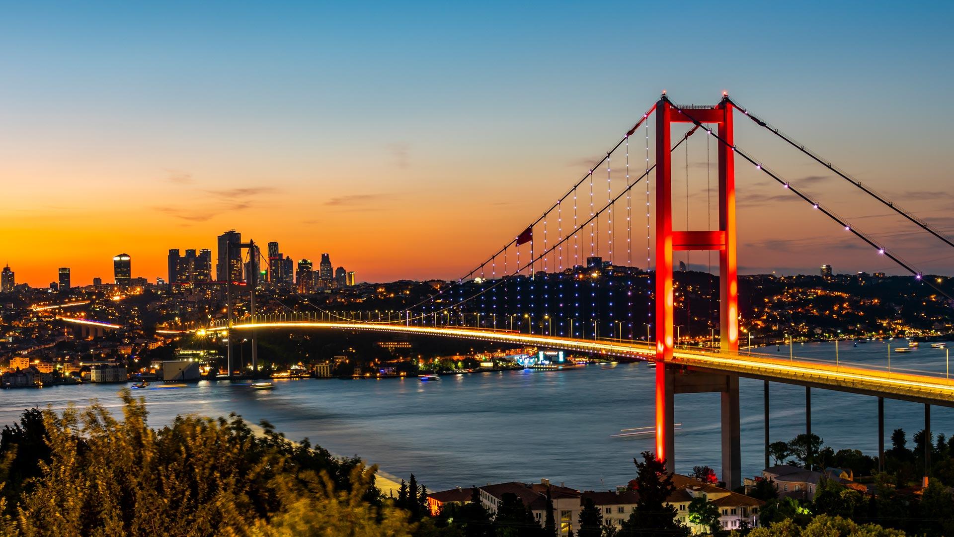 Expert Guidance at Every Step